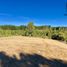  Terreno (Parcela) en venta en Los Ríos, Mariquina, Valdivia, Los Ríos
