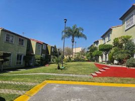 2 Schlafzimmer Wohnung zu verkaufen in Cuernavaca, Morelos, Cuernavaca