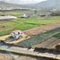  Terreno (Parcela) en venta en Cunchibamba, Ambato, Cunchibamba