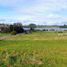  Terreno (Parcela) en venta en Chile, Puerto Varas, Llanquihue, Los Lagos, Chile