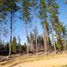  Terreno (Parcela) en venta en Chile, Litueche, Cardenal Caro, Libertador General Bernardo O'Higgins, Chile
