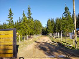 Terreno (Parcela) en venta en Chile, Litueche, Cardenal Caro, Libertador General Bernardo O'Higgins, Chile