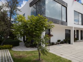 3 Habitación Departamento en venta en San Jeronimo Tecuanipan, Puebla, San Jeronimo Tecuanipan