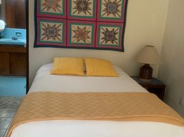 1 Habitación Apartamento en alquiler en Zapopan, Jalisco, Zapopan