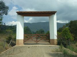  Land for sale in Villa De Leyva, Boyaca, Villa De Leyva