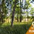  Terreno (Parcela) en venta en Chile, Villarrica, Cautín, Araucanía, Chile