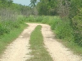  Grundstück zu verkaufen in Conkal, Yucatan, Conkal