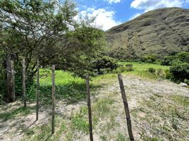  Terreno (Parcela) en venta en Loja, Quinara, Loja, Loja