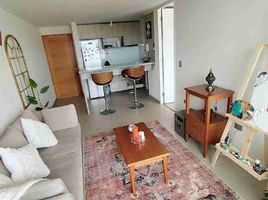 1 Bedroom Apartment for sale in Falabella Mall Plaza El Trébol, Talcahuano, Talcahuano