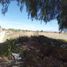  Land for sale in Celaya, Guanajuato, Celaya, Guanajuato