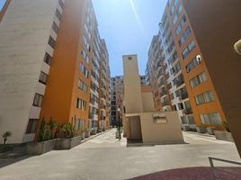 3 Schlafzimmer Appartement zu verkaufen in Santiago De Surco, Lima, Santiago De Surco, Lima, Lima