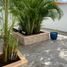 1 Bedroom Condo for rent in Cozumel Quintana Roo, Cozumel