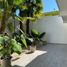1 Bedroom Condo for rent in Cozumel Quintana Roo, Cozumel