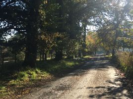  Terreno (Parcela) en venta en Araucanía, Villarrica, Cautín, Araucanía