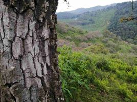  Land for sale in Mexico, Charo, Michoacan, Mexico