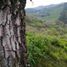  Land for sale in Charo, Michoacan, Charo