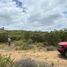  Terreno (Parcela) en venta en Tecate, Baja California, Tecate