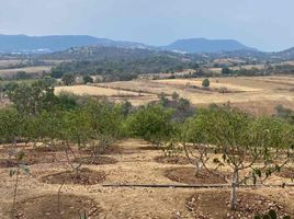  Land for sale in Tenango Del Valle, Mexico, Tenango Del Valle