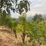  Land for sale in Tenango Del Valle, Mexico, Tenango Del Valle