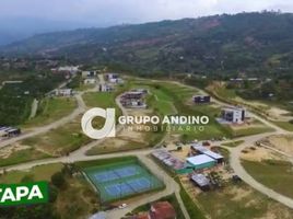  Land for sale in Santander, Floridablanca, Santander