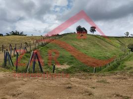  Land for sale in Marinilla, Antioquia, Marinilla