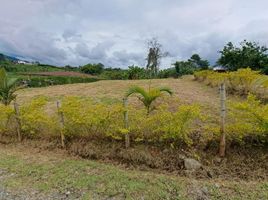 Terrain à vendre à Santa Rosa De Cabal, Risaralda, Santa Rosa De Cabal