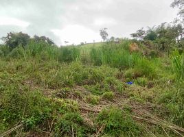  Land for sale in Marinilla, Antioquia, Marinilla