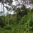  Land for sale in Marinilla, Antioquia, Marinilla