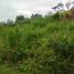  Land for sale in Marinilla, Antioquia, Marinilla