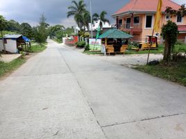  Grundstück zu verkaufen in Tagaytay City, Calabarzon, Tagaytay City, Cavite, Calabarzon