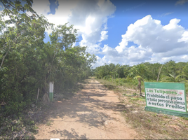 Terrain à vendre à Cancun, Quintana Roo, Cancun