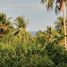  Land for sale in Dauin, Negros Island Region, Dauin