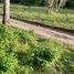  Land for sale in Dauin, Negros Island Region, Dauin