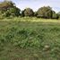  Land for sale in Dauin, Negros Island Region, Dauin