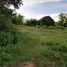  Land for sale in Dauin, Negros Island Region, Dauin