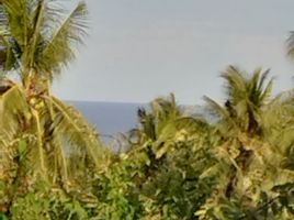  Land for sale in Dauin, Negros Island Region, Dauin
