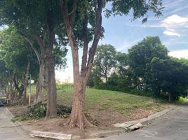  Terreno (Parcela) en venta en Muntinlupa City, Metro Manila, Muntinlupa City, Southern District, Metro Manila