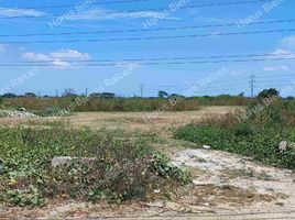  Land for sale in Samborondon, Guayas, Samborondon, Samborondon