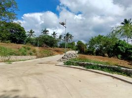  Land for sale in Cavite, Calabarzon, Alfonso, Cavite