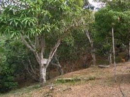  Terrain for sale in San Jeronimo, Antioquia, San Jeronimo