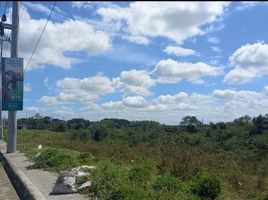  Terreno (Parcela) en alquiler en Tanza, Cavite, Tanza