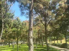  Grundstück zu verkaufen in Zapopan, Jalisco, Zapopan, Jalisco