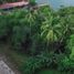  Land for sale in Island Garden Samal City, Davao del Norte, Island Garden Samal City