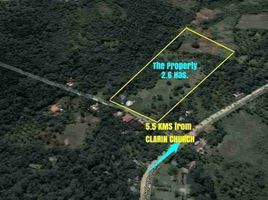  Terrain for sale in Bohol, Central Visayas, Clarin, Bohol