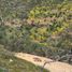  Terreno (Parcela) en venta en Melipilla, Santiago, Curacavi, Melipilla