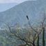  Terreno (Parcela) en venta en Melipilla, Santiago, Curacavi, Melipilla