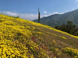  Terreno (Parcela) en venta en Melipilla, Santiago, Curacavi, Melipilla