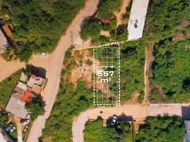  Terreno (Parcela) en venta en Dist Pochutla, Oaxaca, Dist Pochutla