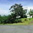  Land for sale in Calamba City, Calabarzon, Calamba City