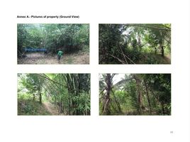  Terrain for sale in Aborlan, Palawan, Aborlan